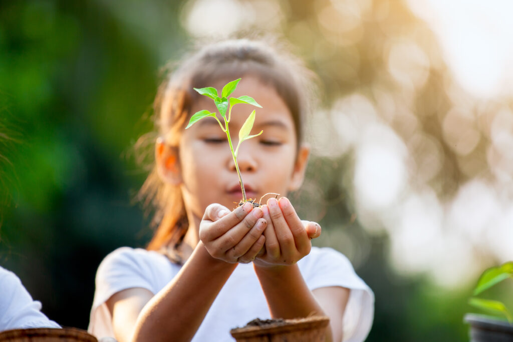 A young girl holding tree seedling for 