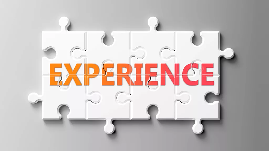 8 puzzle pieces that spell out the word Experience