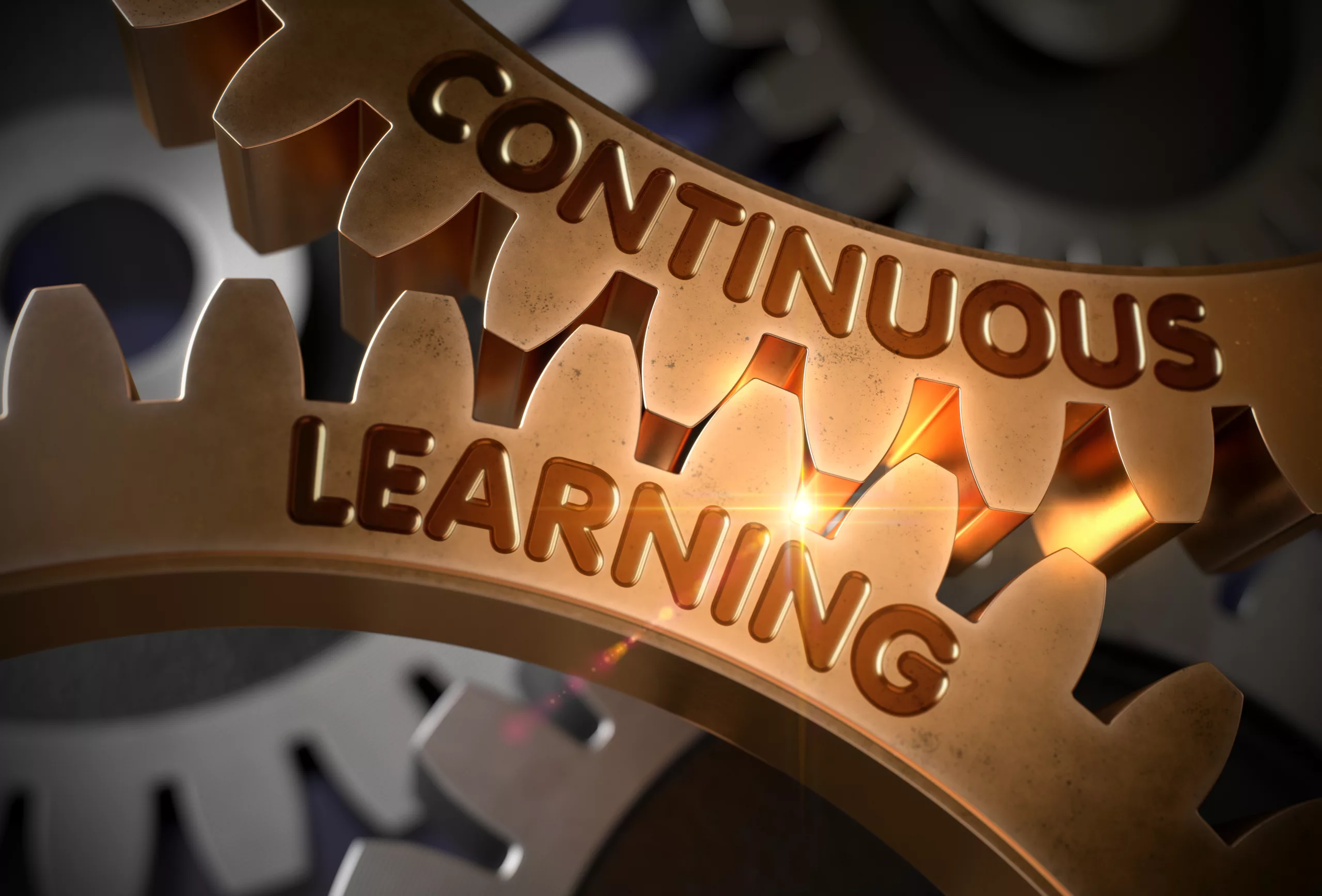 Continuous learning