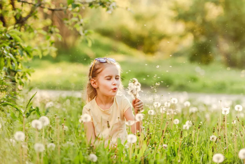 small girl sitting in a field playing with a dandelion